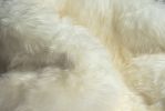 60" X 60" X 2" Off White Ciruclar Sheepskin  Rug